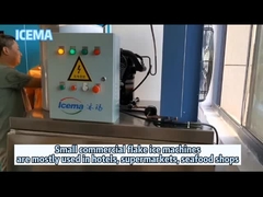 Коммерчески пресноводный завод льда хлопь создателя льда хлопь машины льда хлопь небольшой для пользы гостиницы