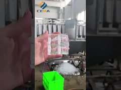 Высококачественная промышленная пелетная ледовая машина в эксплуатации