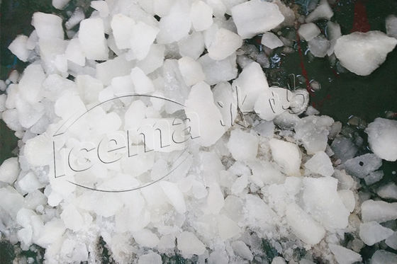 Бытовая соковыжималка Ice Crusher Коммерческая гостиница на открытом воздухе
