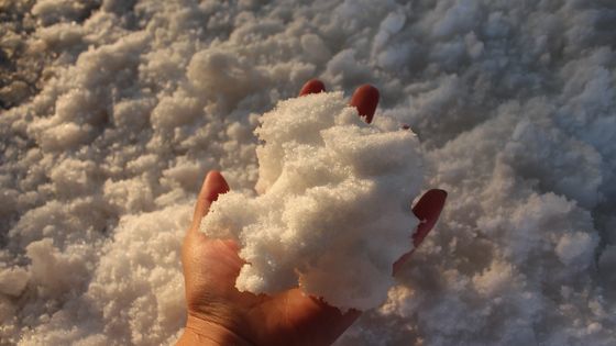 Машина для измельчения бритвы с винтом из нержавеющей стали для ресторана сока