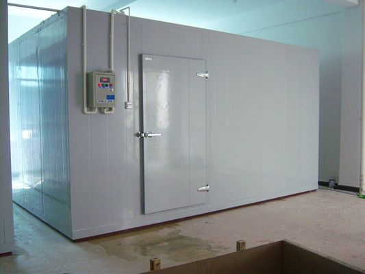 Холодильная камера для рыбы Морозильная камера Прогулка в холодильных камерах