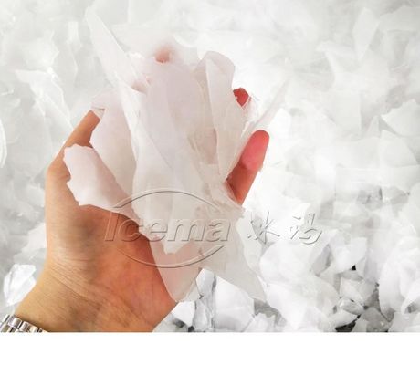 Китай 50 тонн/день контейнеризированная машина для охлаждения снежных хлопьев с фабричной ценой