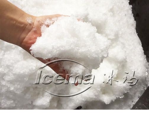 9 Т/ч Мобильная стальная машина для производства льда ICEMA для свежего хранения